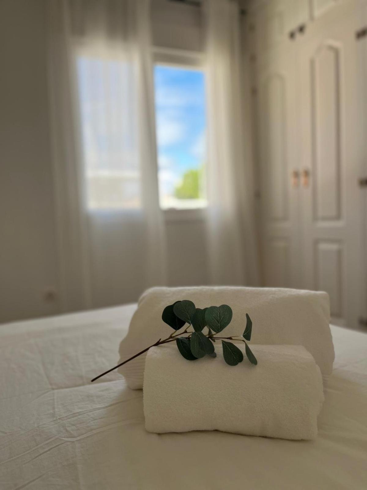 Malaga Prime Location - Stylish Apartment With Free Wifi, Free Parking, Steps From The Historic Center Bagian luar foto