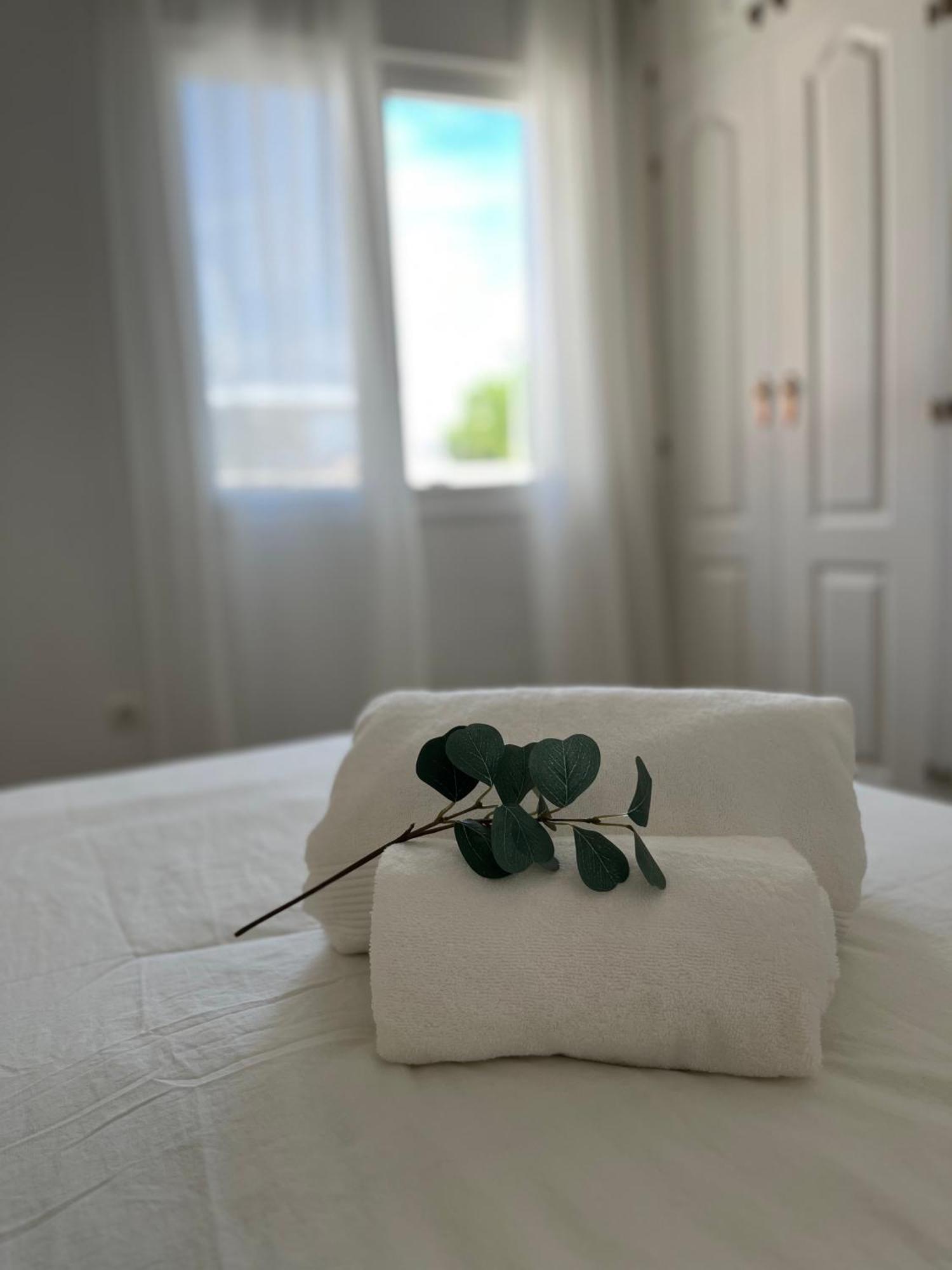 Malaga Prime Location - Stylish Apartment With Free Wifi, Free Parking, Steps From The Historic Center Bagian luar foto